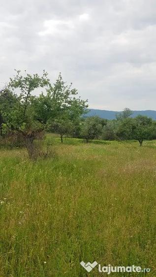 Teren în Lăschia