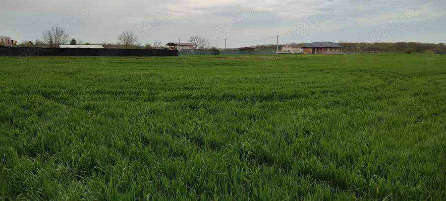 Vand teren intravilan aproape de bucuresti la 10 -15 min - 1