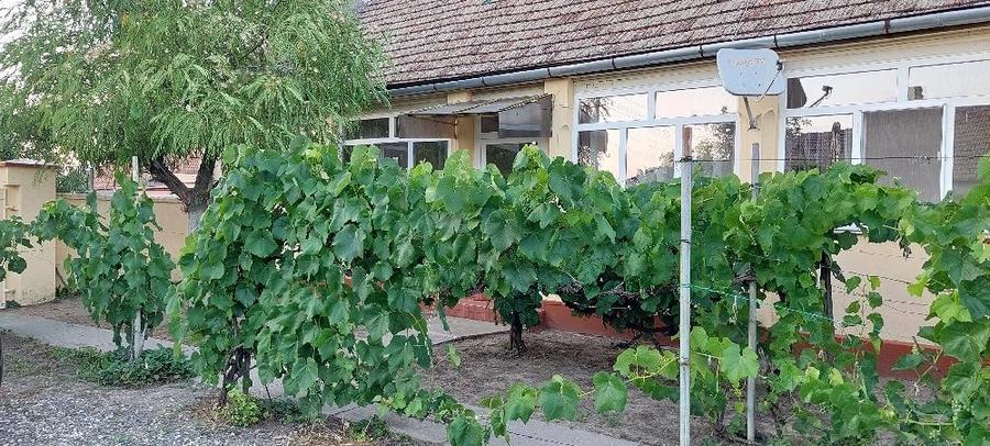 Casă cu 3 camere cu Teren 2948 Mp în Satu Mare