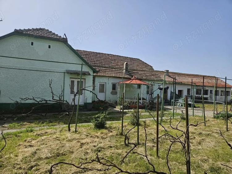 Casă cu Teren 1996 Mp în Giulvăz