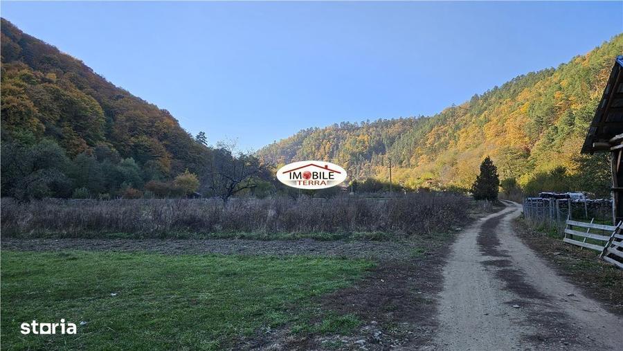Teren de 310 mp, în Central