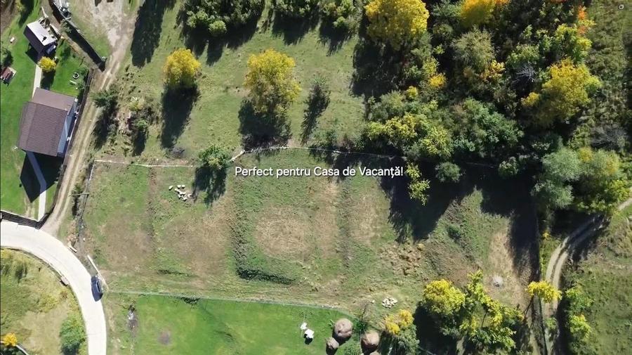 Teren Construcții intravilan de 3500 mp, în Cacica