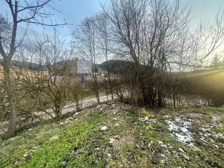Teren Construcții intravilan de 22600 mp, în Sucevița