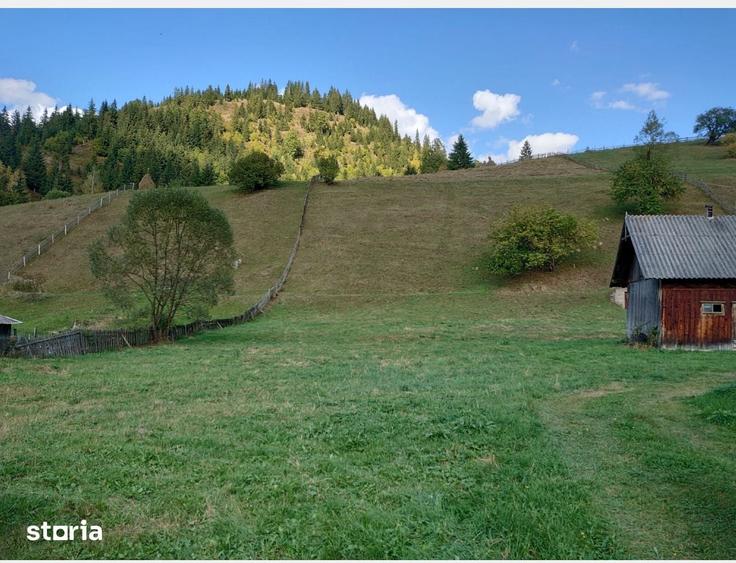 Teren de 1724 mp, în Ortoaia