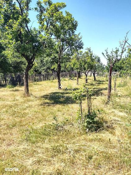 Casă cu 4 camere cu Teren 257 Mp în Crasna