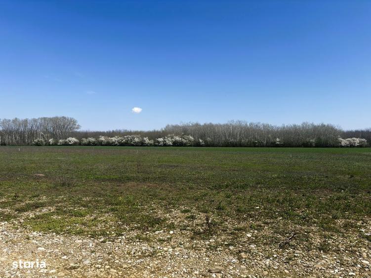 Teren de 638 mp, în Cocani