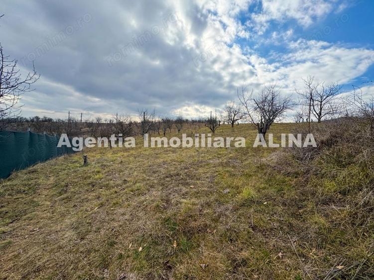 Teren de 500 mp, în Călugareni