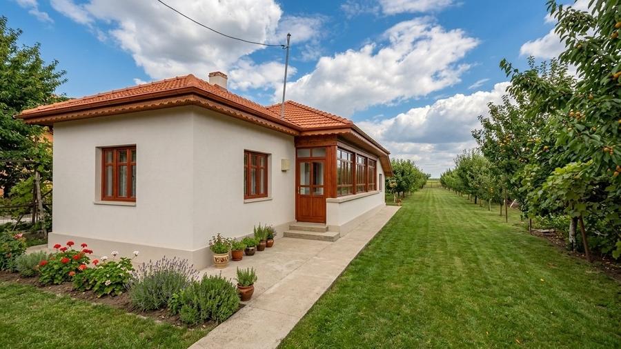 Casă individuală cu 4 camere cu Teren 2700 Mp în Dărăști-Vlașca