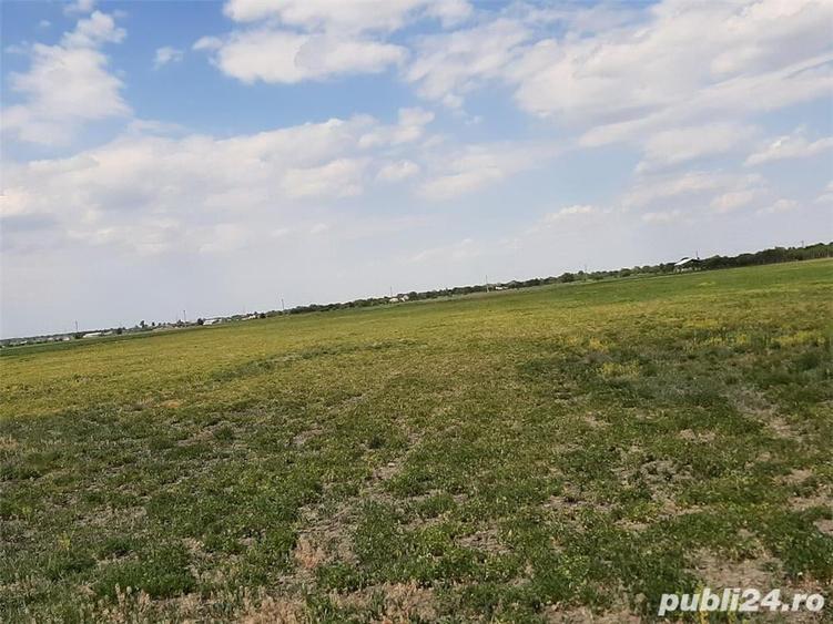 Teren de 5000 mp, în Central