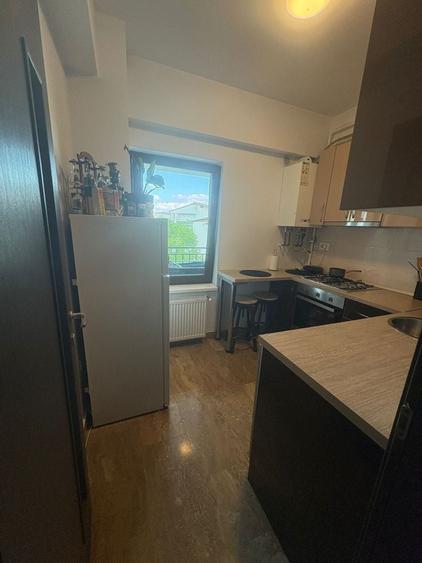 Inchiriez apartament cu o camera nicolina 2 - 5