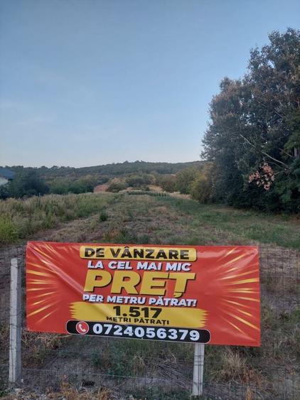 Spațiu comercial, în Curtișoara