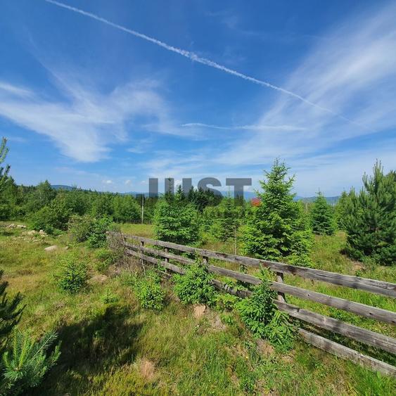 Teren Construcții intravilan de 691.40002441406 mp, în Călățele