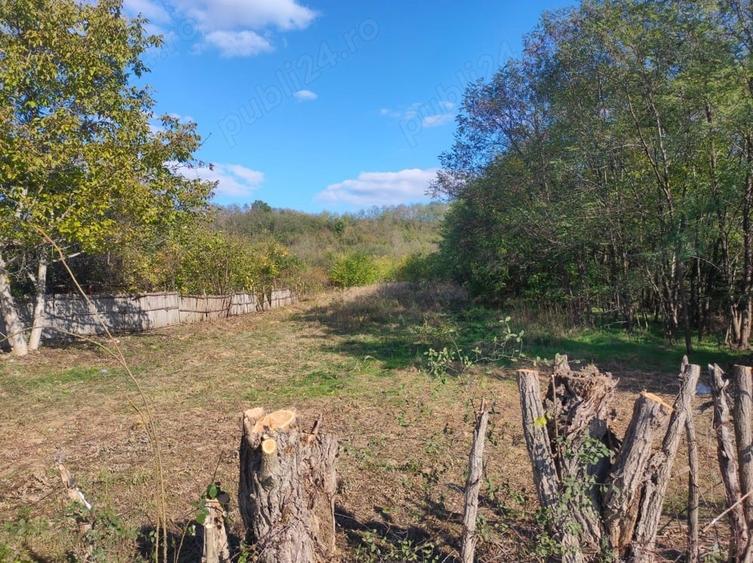 Teren de 7000 mp, în Drăgoești