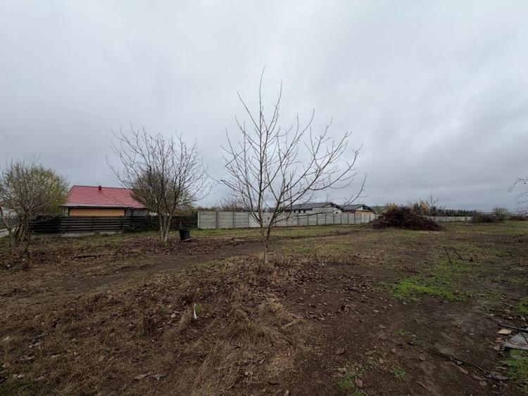 Teren Construcții intravilan de 4920 mp, în Tamași