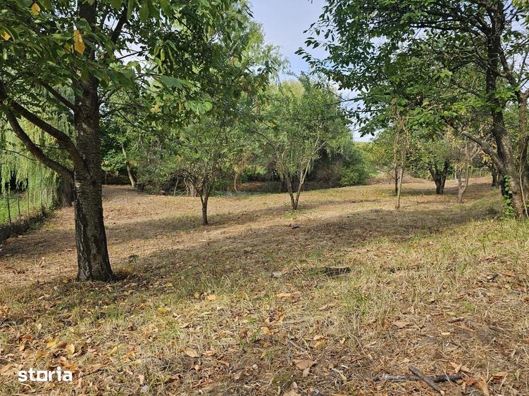 Teren de 1600 mp, în Nicolina