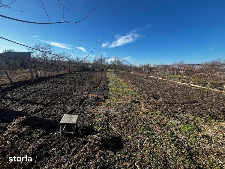 Casă cu 4 camere cu Teren 2700 Mp în Dumitrița