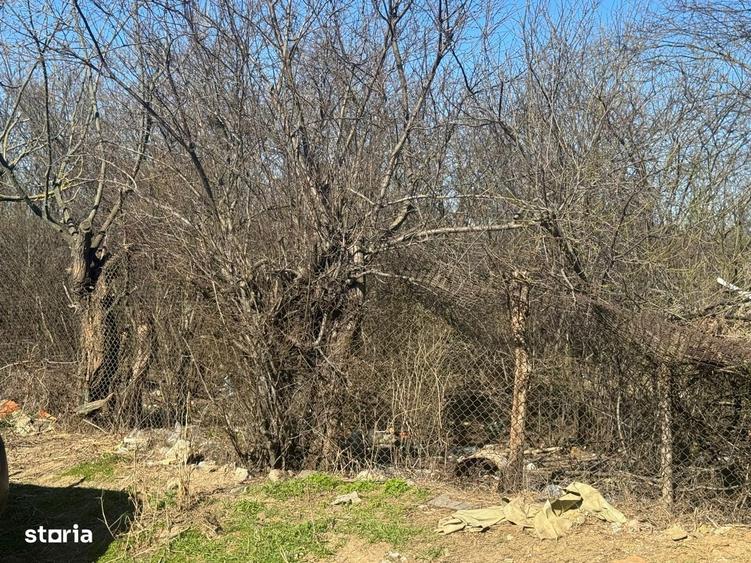 Teren de 1800 mp, în Găneasa