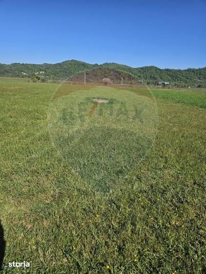 Teren intravilan de vanzare in Craciune?ti 1.780 mp - 7