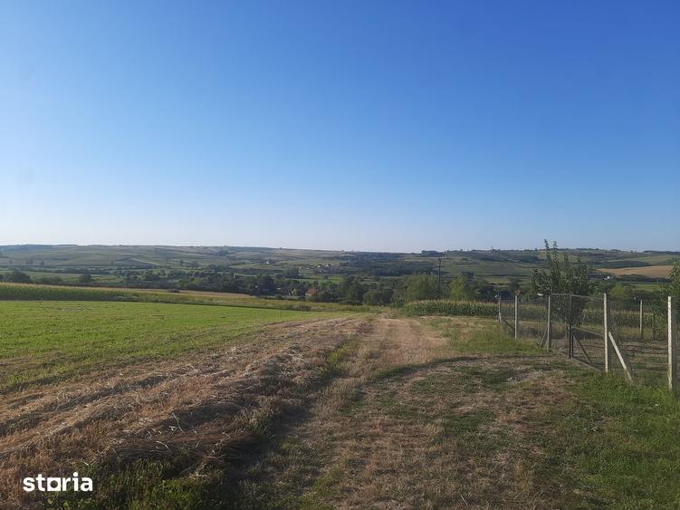 Teren de 1153 mp, în Paleu