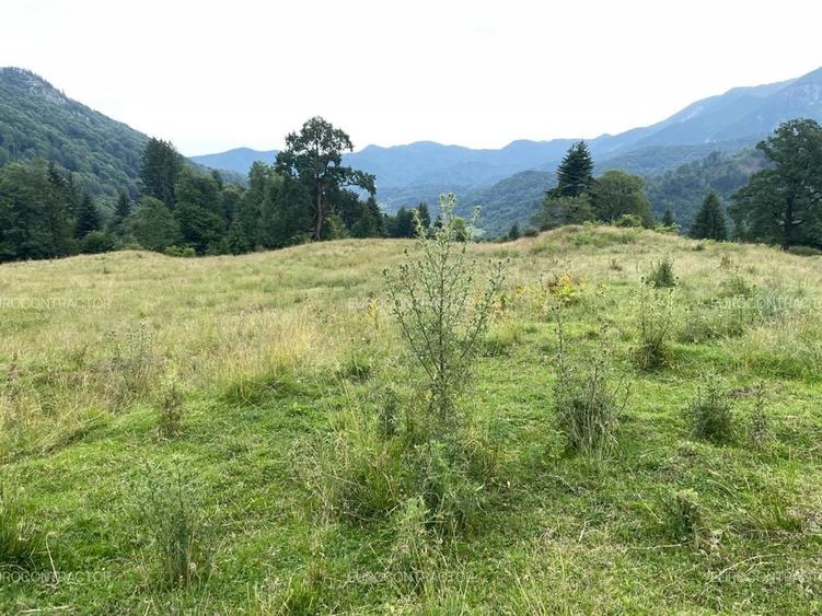 Teren Construcții intravilan de 13000 mp, în Râșnov Romacril
