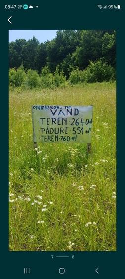 Spațiu comercial, în Central