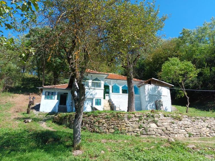 Casă cu 4 camere cu Teren 8000 Mp în Pruni