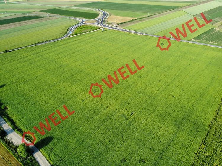 Teren agricol extravilan de 45000 mp, în Chichiș