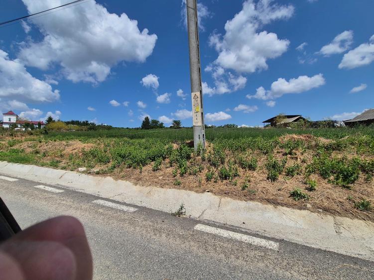 Teren intravilan Tomesti-Goruni - 3