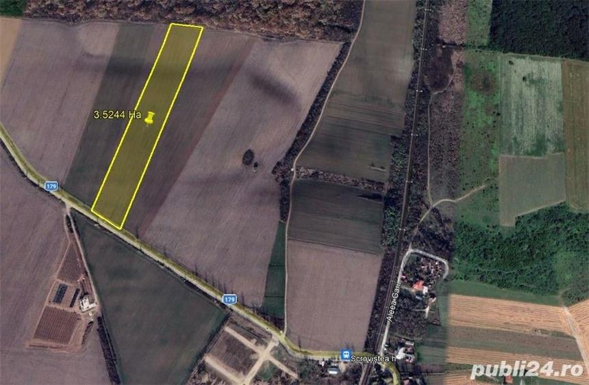 Teren de 35000 mp, în Bălteni
