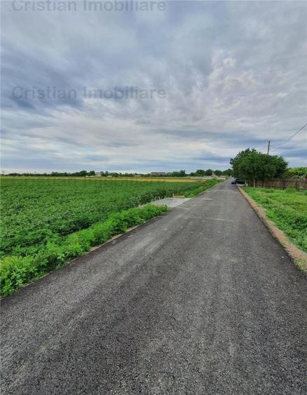 Teren intravilan de 8881 mp, în Cazasu