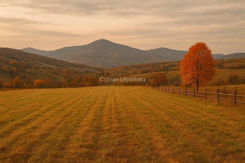 Teren intravilan zona Tocile