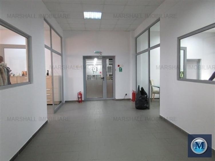 Birou, de 2,361 mp, în Păuleștii Noi