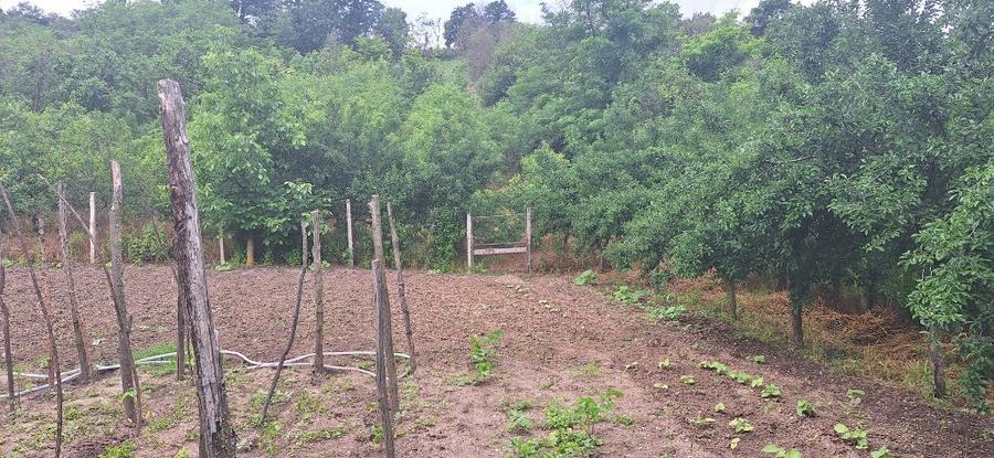 Casă cu 3 camere cu Teren 3400 Mp în Icoana