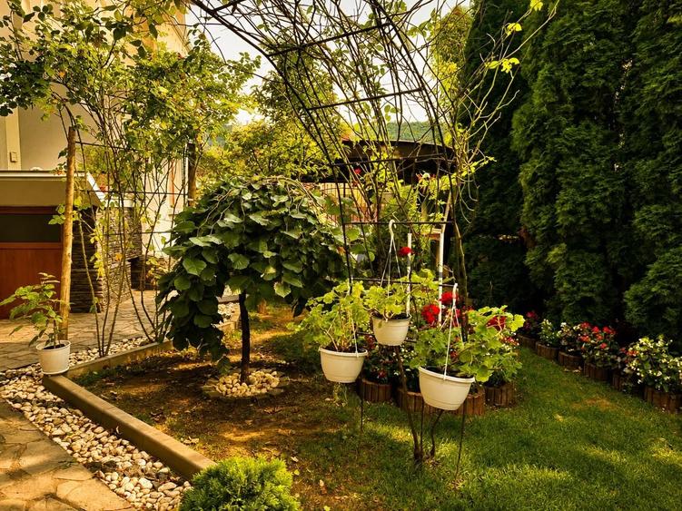 Casă individuală cu 8 camere cu Canalizare în Sud-Vest