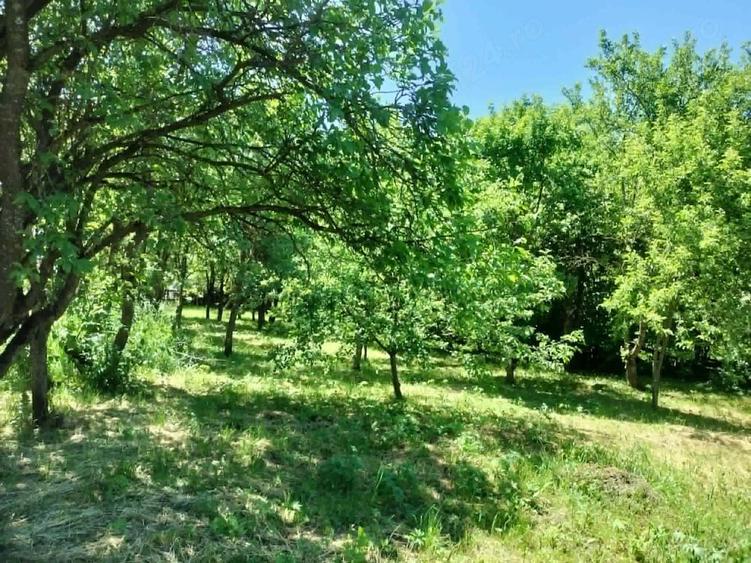 Casă cu 4 camere cu Teren 2418 Mp în Dumbrava