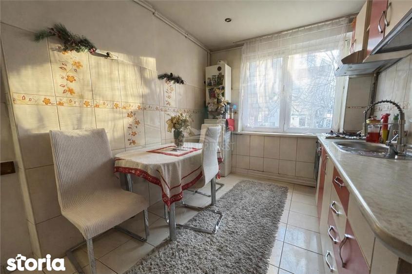 Apartament cu 2 camere, mobilat în Terezian