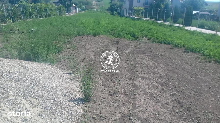 Teren de 4467 mp, în Lețcani
