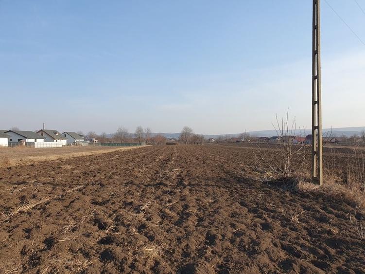 Teren de 1624 mp, în Holboca