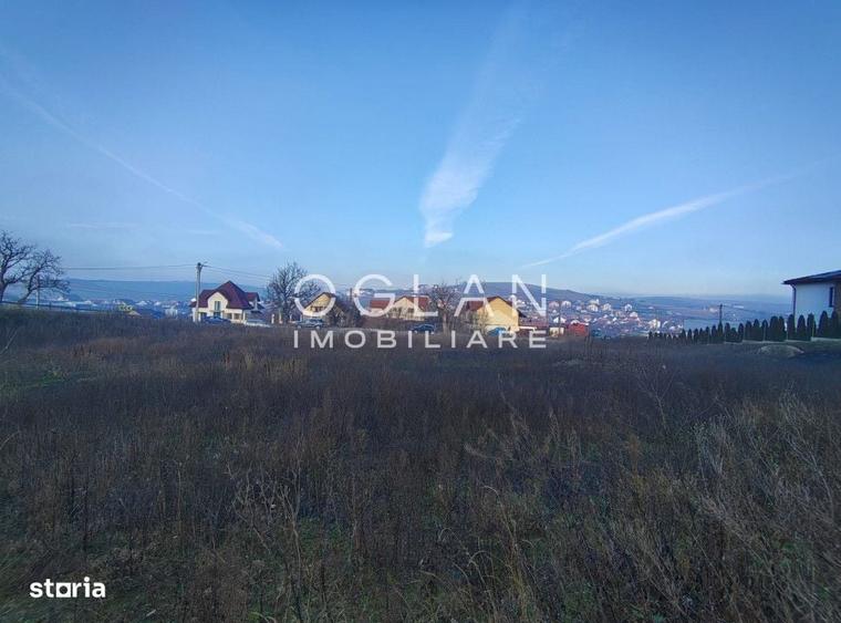 Spațiu comercial, în Șura Mare