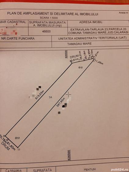 Teren de 46600 mp, în Tămădău Mare