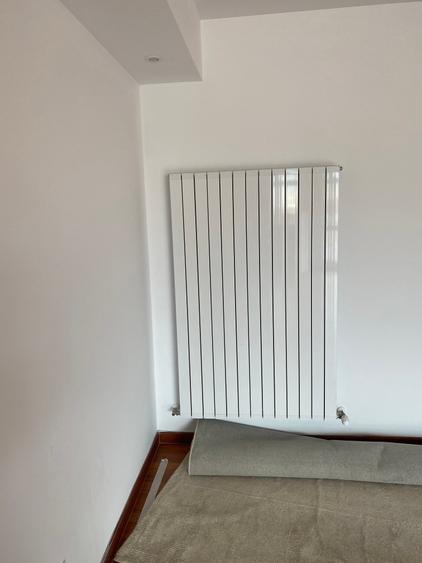 Apartament cu 2 camere în Ferdinand
