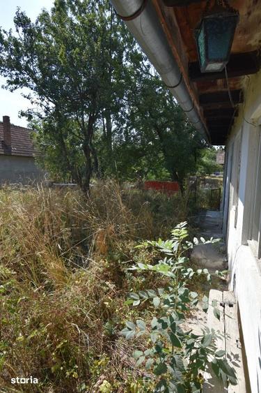 Casă cu 3 camere cu Teren 1500 Mp în Sava
