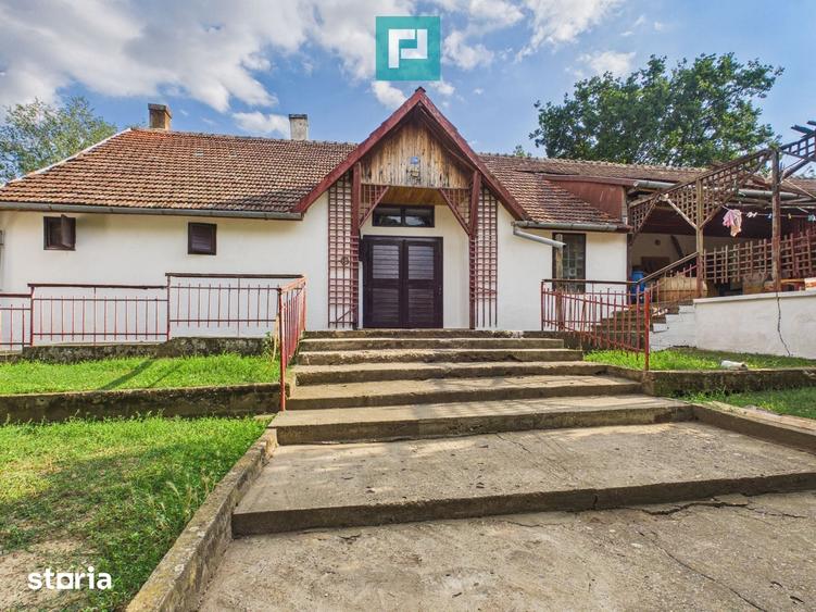 Casă cu 7 camere cu Teren 90000 Mp în Central