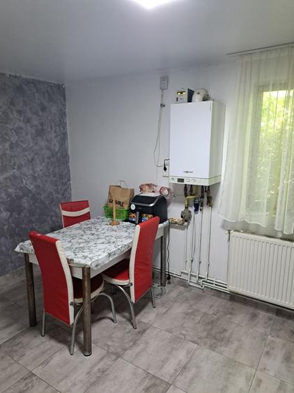 Casă cu 2 camere în Valea Nicovani