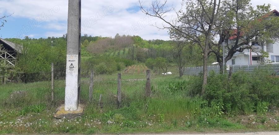 Teren de 3500 mp, în Ștefănești