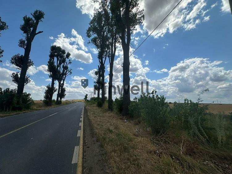 Teren Construcții intravilan de 26000 mp, în Ștefăneștii de Jos
