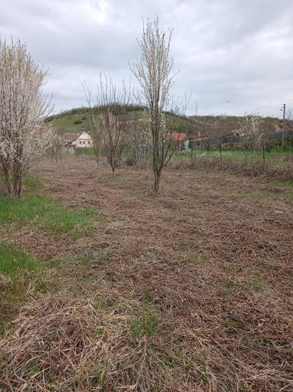 Casă cu 3 camere în Topârcea