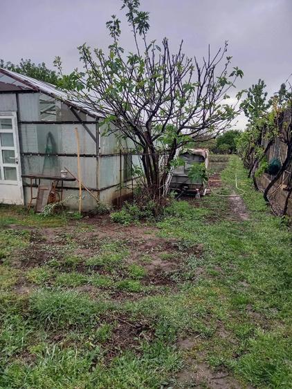 Casă cu 2 camere cu Teren 1776 Mp în Mineri