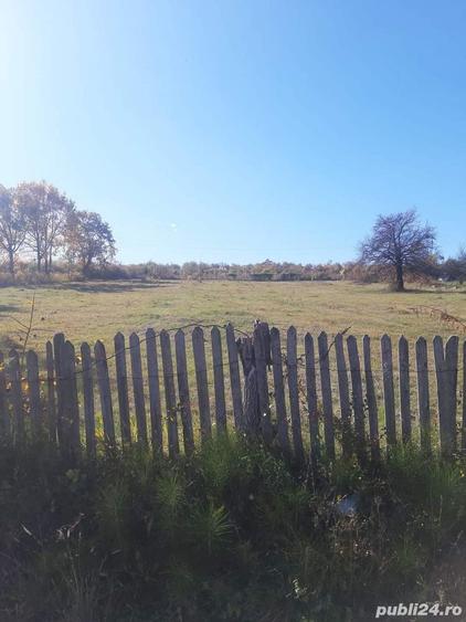 Teren de 5500 mp, în Central