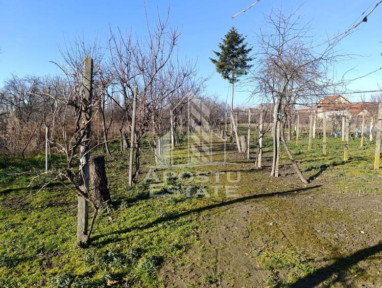 Casa individuala cu teren generos 2158mp, front 12m, liva... - 15